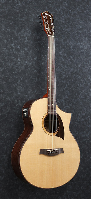 Ibanez AEW22CD